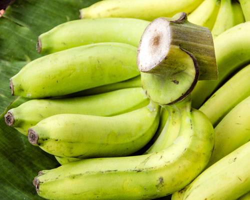 Musa 'Gros Michel'