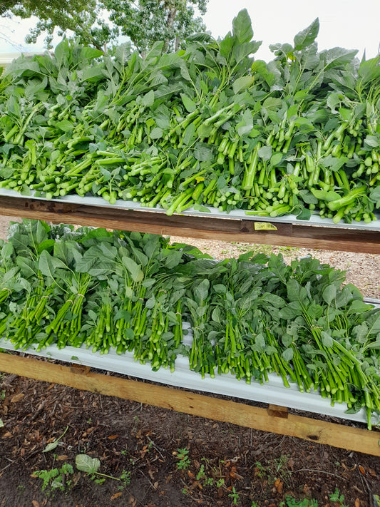 Fresh Callaloo Bundle