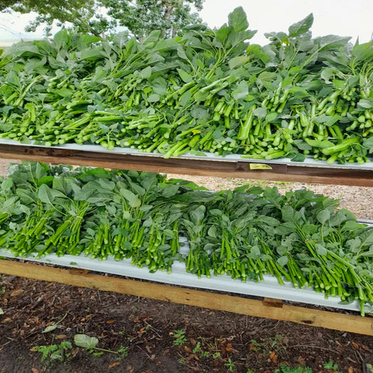 Fresh Callaloo Bundle